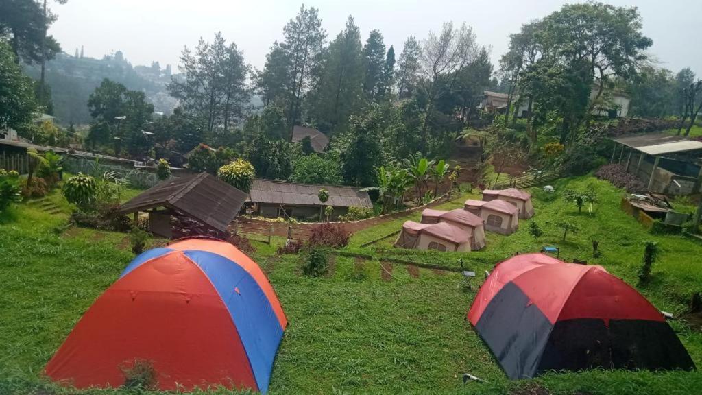Rumah liburan Eco